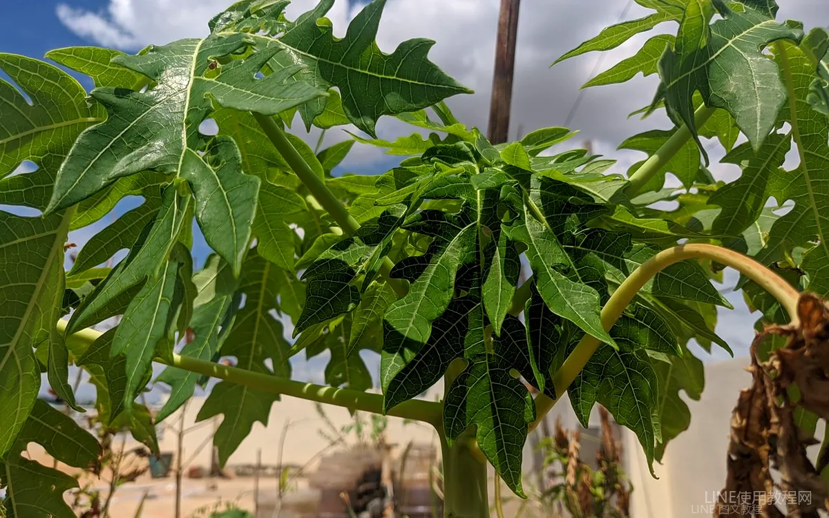 群聊功能:群组聊天的使用相关场景